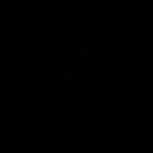 ISO LULU SCUBA         DONT BUY